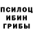 Псилоцибиновые грибы GOLDEN TEACHER danoz