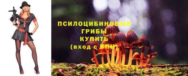 экстази Алексин