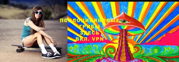 ГАЛЛЮЦИНОГЕННЫЕ ГРИБЫ Алзамай