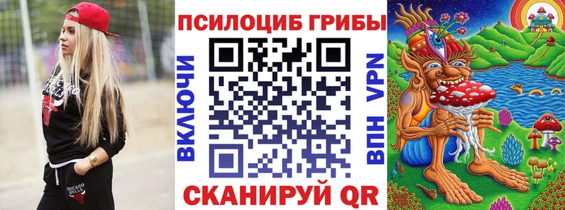 где купить наркоту  Чудово  сайты даркнета как зайти  Галлюциногенные грибы мухоморы 